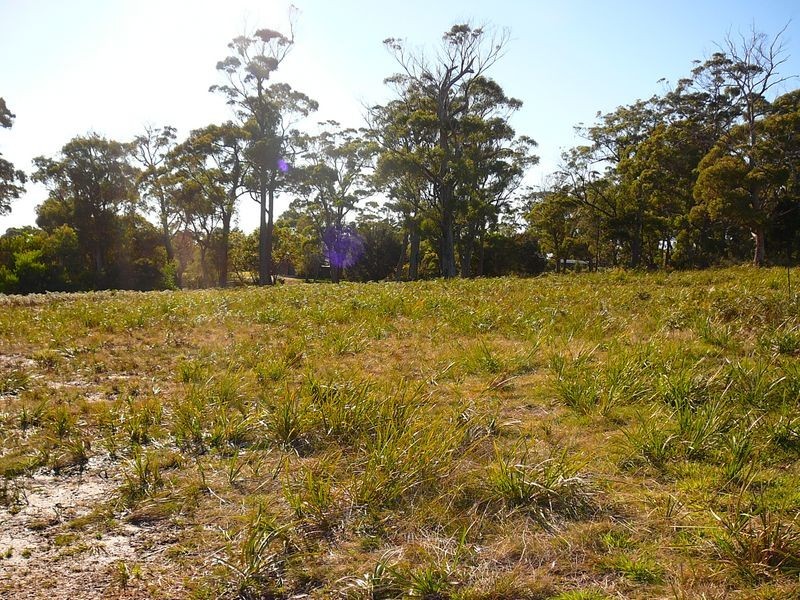 44 Coffey Drive, Binalong Bay TAS 7216