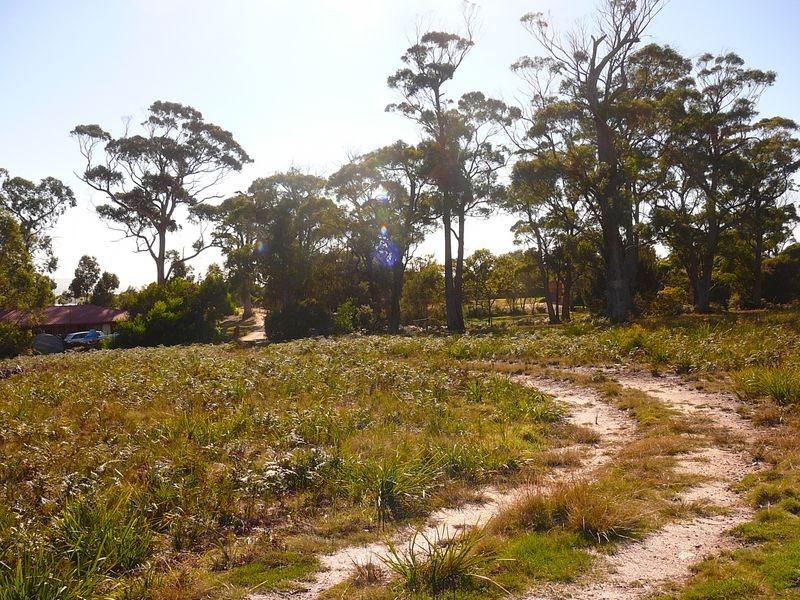 44 Coffey Drive, Binalong Bay TAS 7216