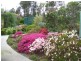 21 Riverview Road, Scamander TAS 7215