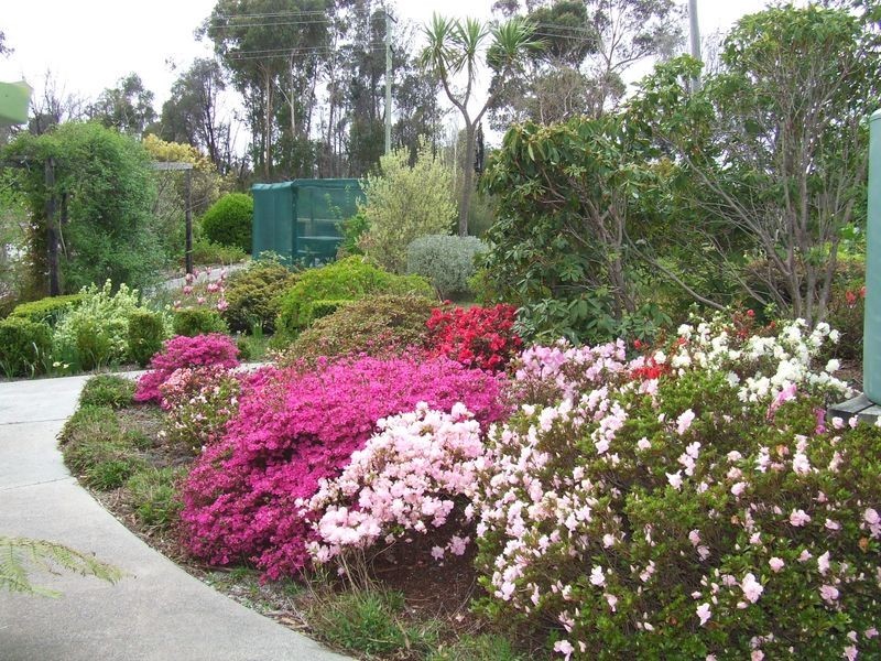 21 Riverview Road, Scamander TAS 7215