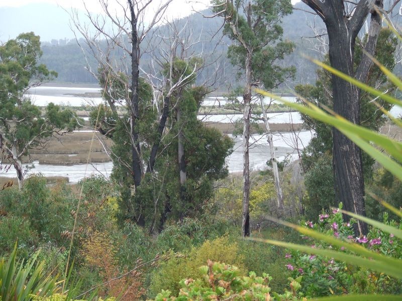 21 Riverview Road, Scamander TAS 7215