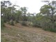 114 Gardens Road, Binalong Bay TAS 7216