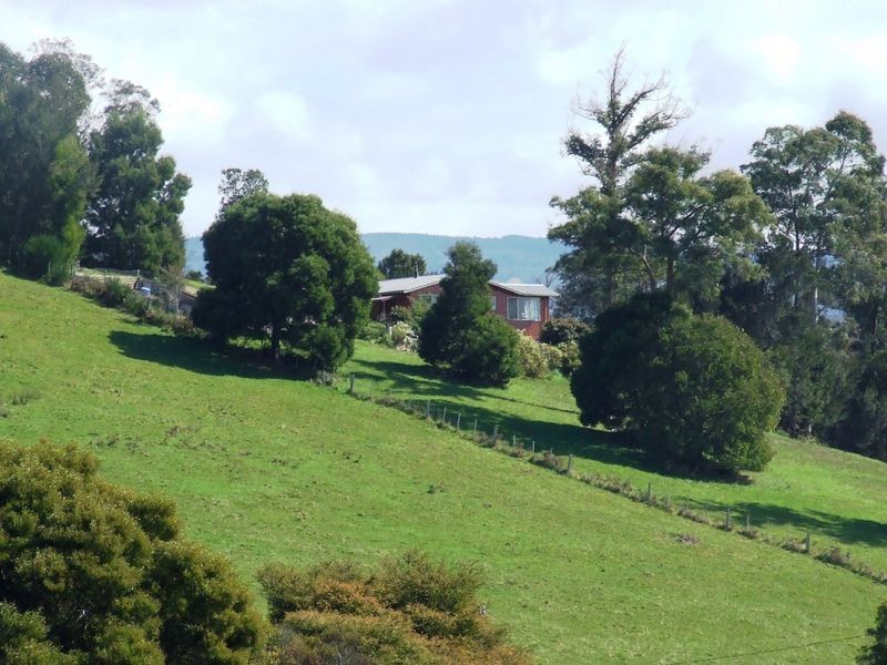26933 Tasman Highway, Goshen TAS 7216