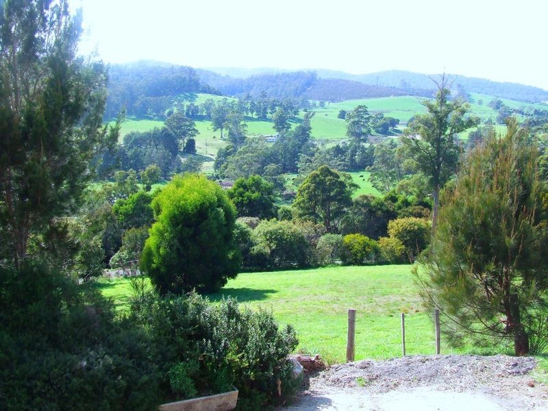 26933 Tasman Highway, Goshen TAS 7216