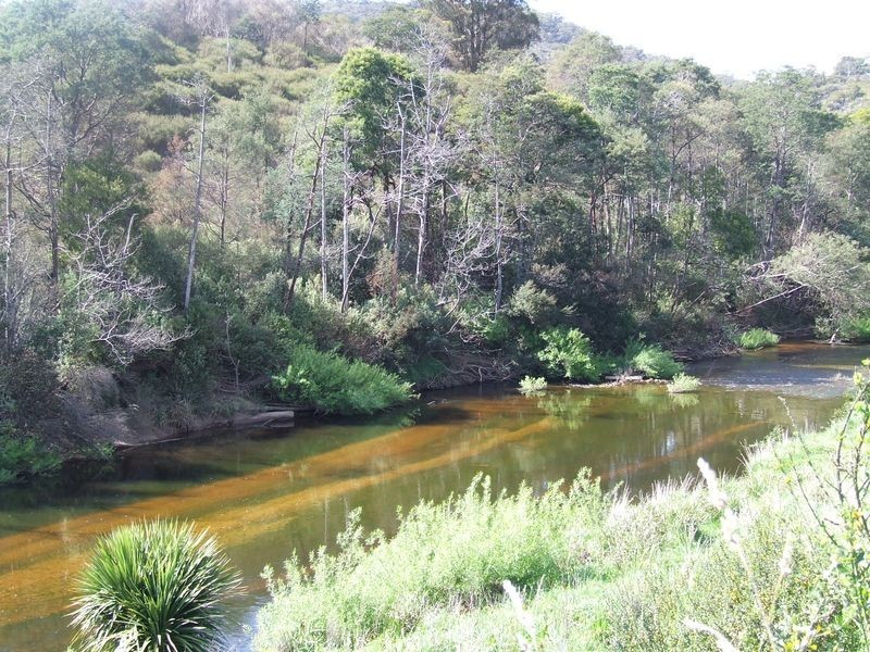 59 Main Street, Derby TAS 7264