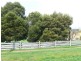 55 High Street, Mathinna TAS 7214