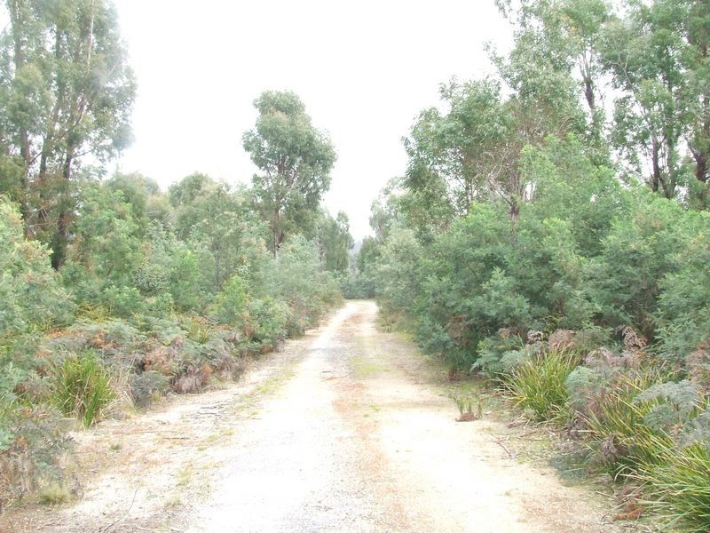 Lot 1 Tasman Highway, Scamander TAS 7215