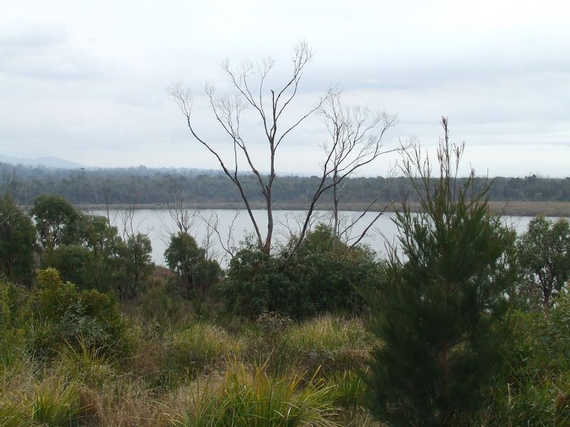 Lot 1 Tasman Highway, Scamander TAS 7215