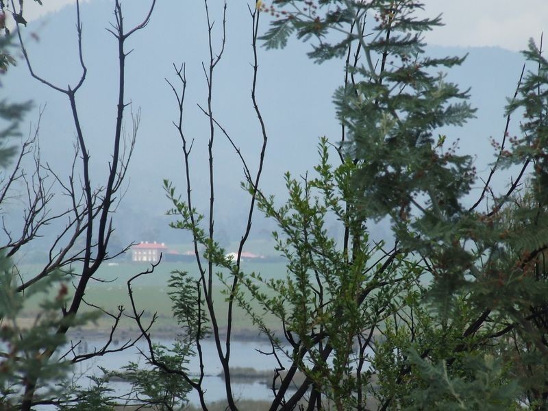 Lot 1 Tasman Highway, Scamander TAS 7215