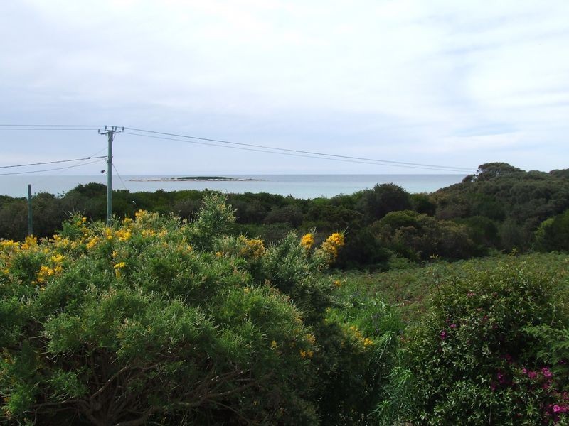 24285 Tasman Highway, St Helens TAS 7216