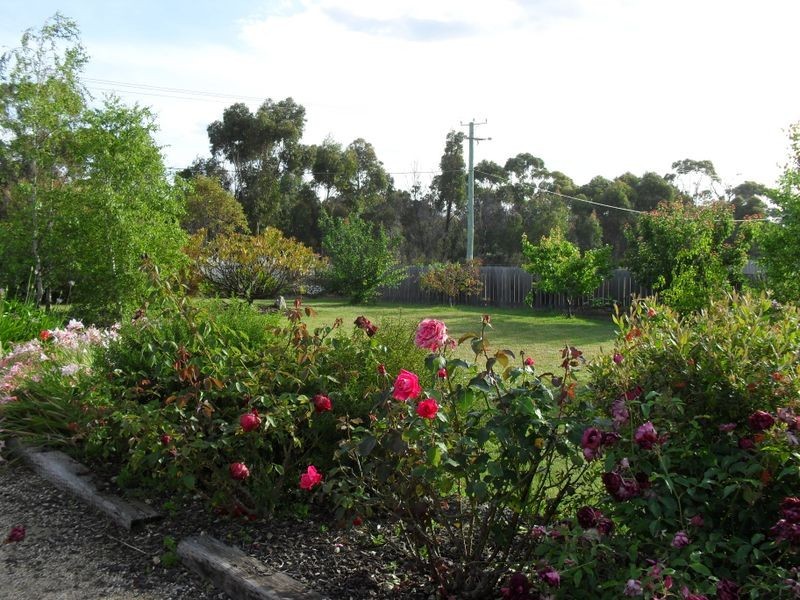 28 Cherrywood Drive, Scamander TAS 7215