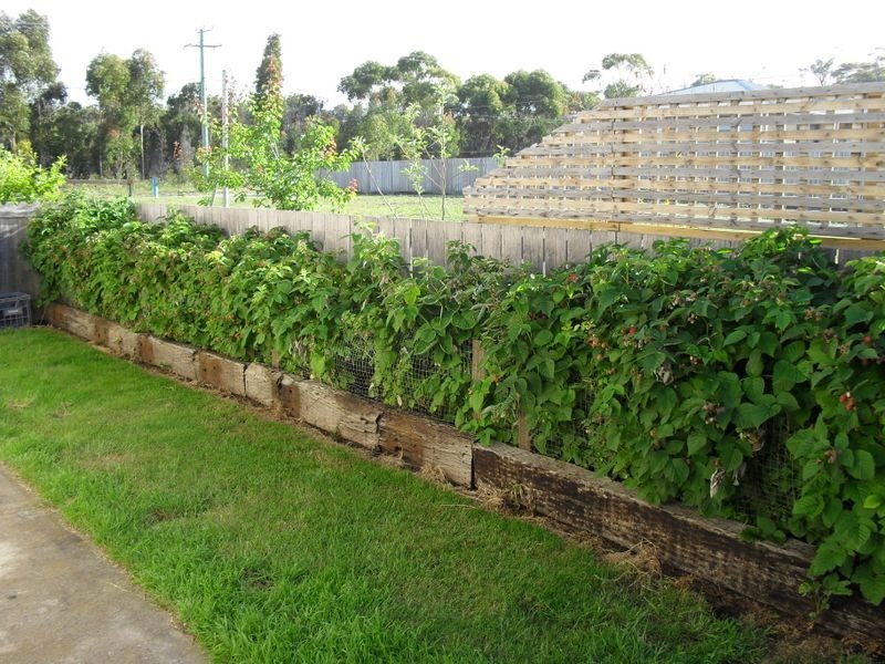 28 Cherrywood Drive, Scamander TAS 7215