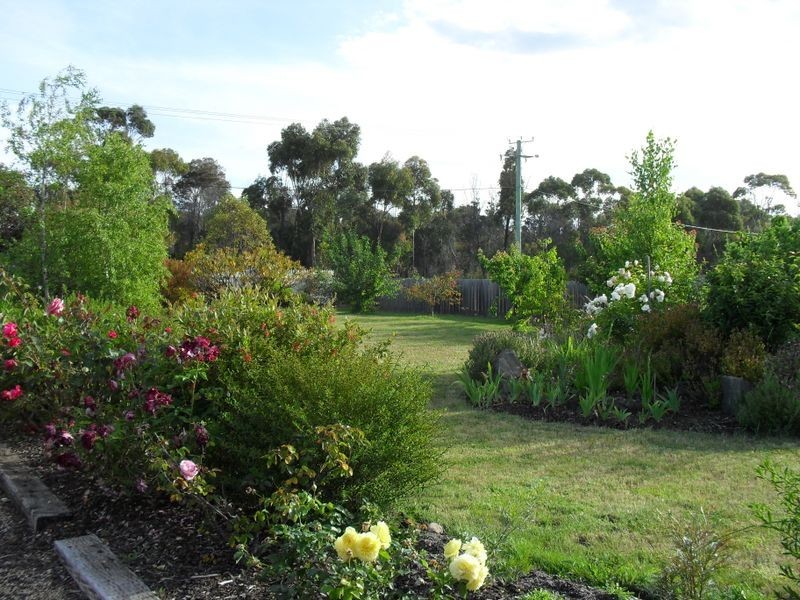 28 Cherrywood Drive, Scamander TAS 7215