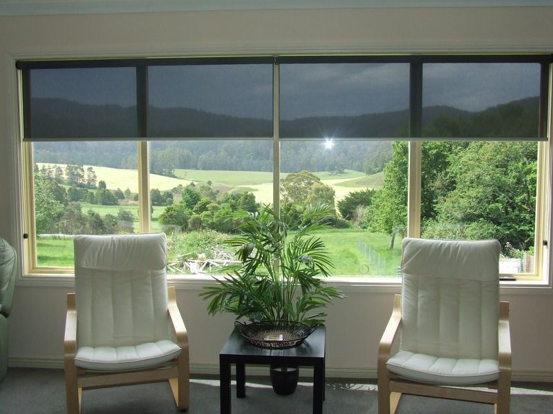 316 Lottah Road, Lottah TAS 7216