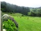 316 Lottah Road, Lottah TAS 7216