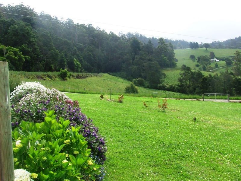 316 Lottah Road, Lottah TAS 7216