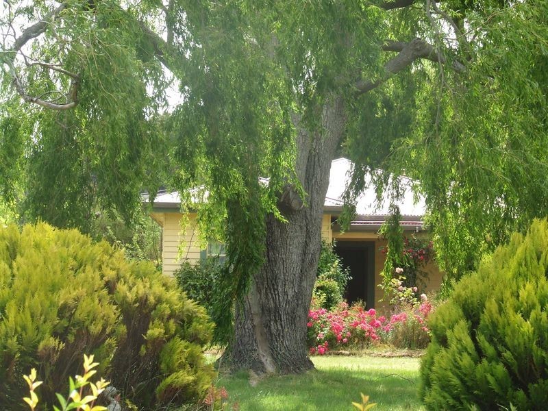 40 Beaulieu Street, St Helens TAS 7216