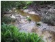 1477 Woodsong, Goshen TAS 7216