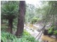1477 Woodsong, Goshen TAS 7216
