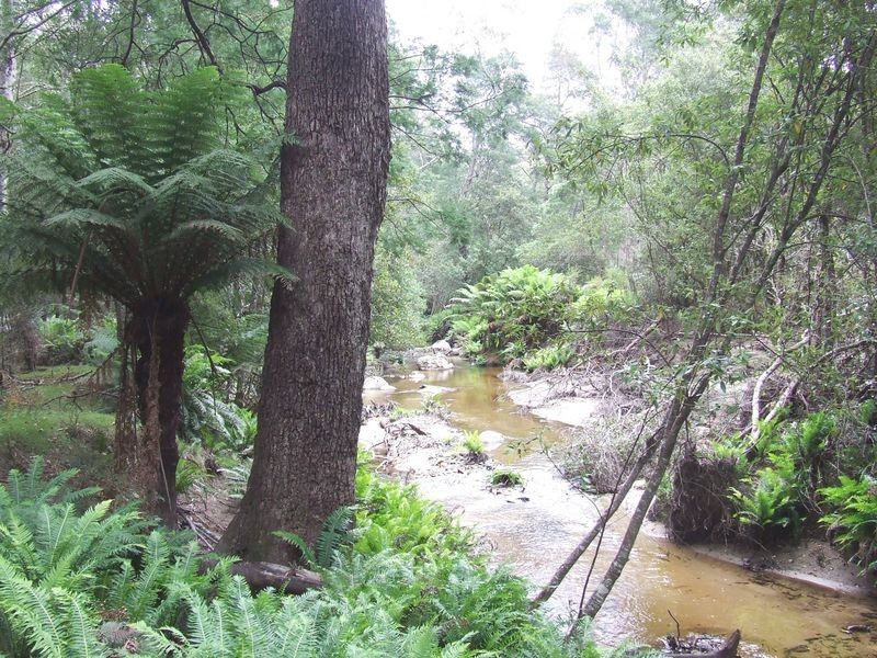 1477 Woodsong, Goshen TAS 7216