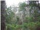 1477 Woodsong, Goshen TAS 7216