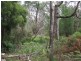 1477 Woodsong, Goshen TAS 7216