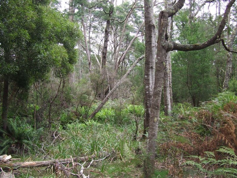 1477 Woodsong, Goshen TAS 7216