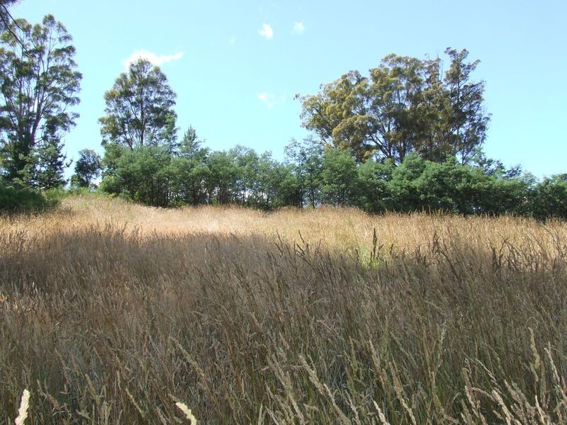 Mangana Street, Mathinna TAS 7214