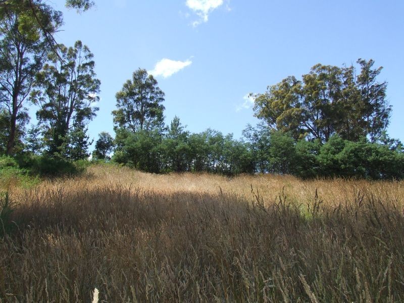 Mangana Street, Mathinna TAS 7214