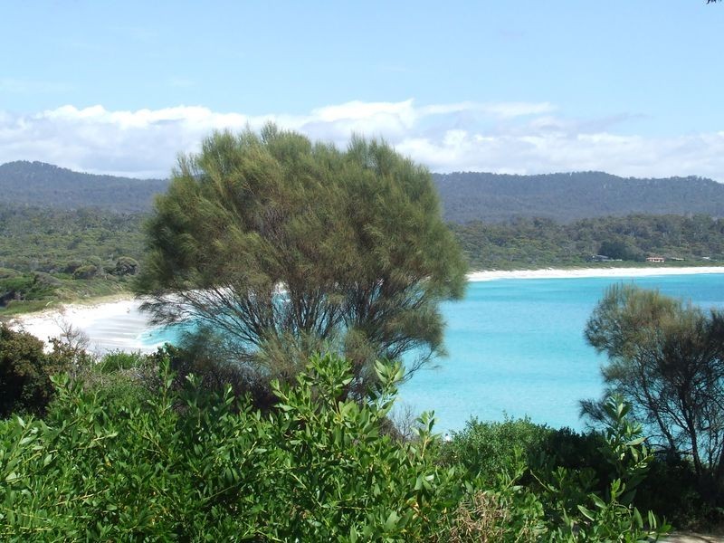 60 Main Road, Binalong Bay TAS 7216