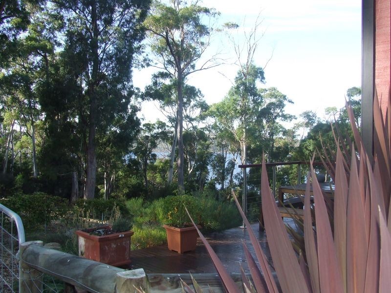 363 Binalong Bay Road, St Helens TAS 7216