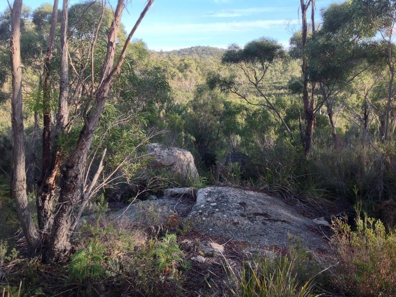 21 Jeanneret Crescent, Binalong Bay TAS 7216