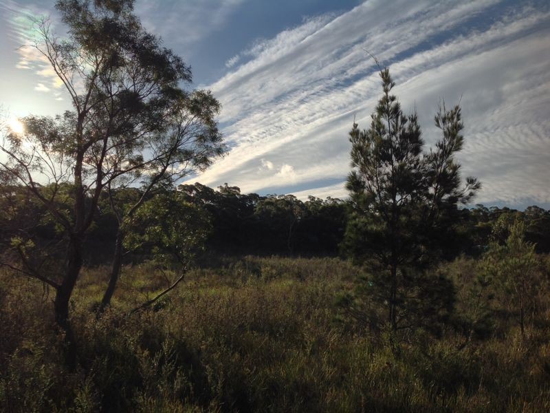 21 Jeanneret Crescent, Binalong Bay TAS 7216