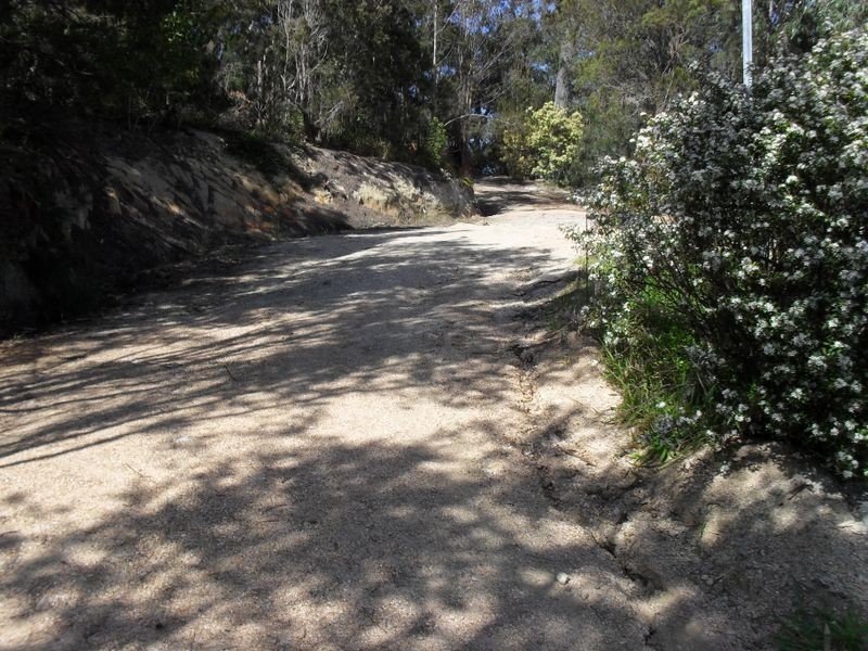 91 Treloggen Track, Stieglitz TAS 7216