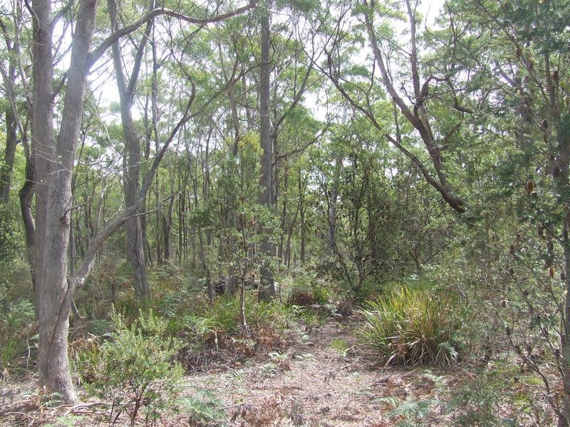 449 Elephant Pass Road, St Marys TAS 7215