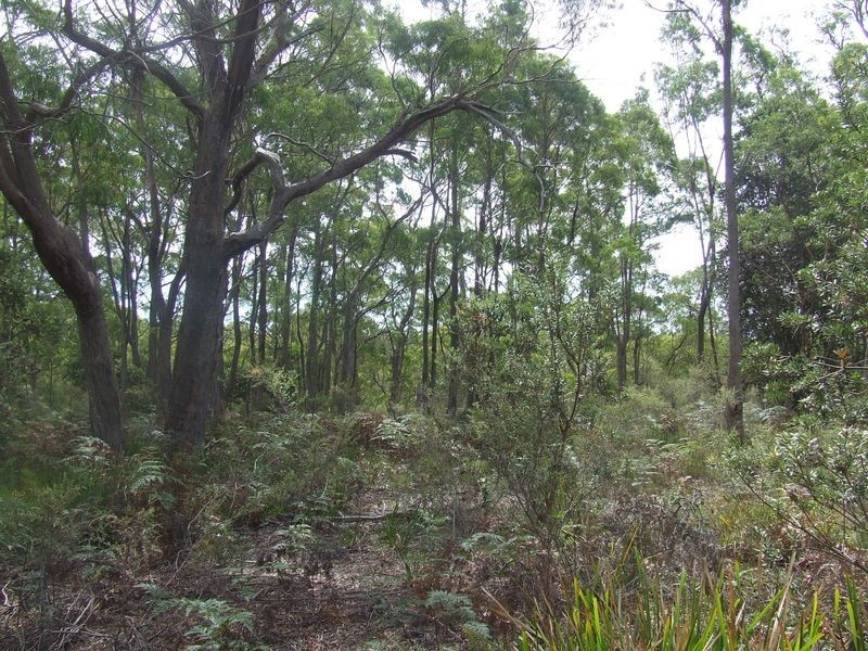 449 Elephant Pass Road, St Marys TAS 7215