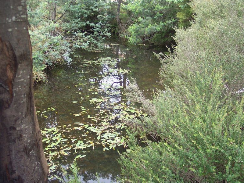 Main Street, St Marys TAS 7215