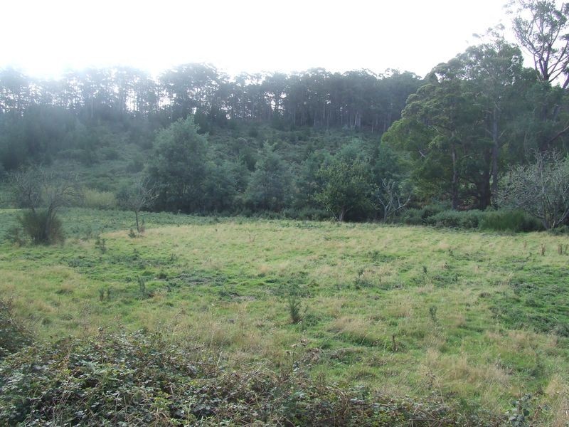 Main Street, St Marys TAS 7215