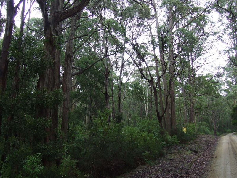 PID 640432 Lower Germantown Road, St Marys TAS 7215