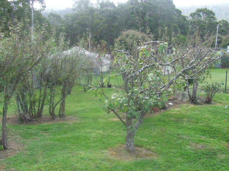 25 Alexander Street, Cornwall TAS 7215