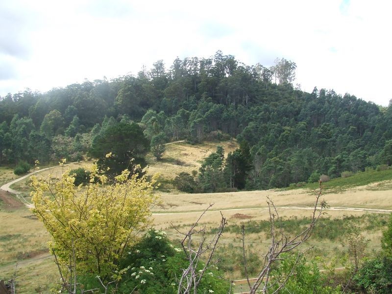 59 Johnstons Road, Goulds Country TAS 7216