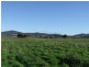 114 Cecilia Street, St Helens TAS 7216