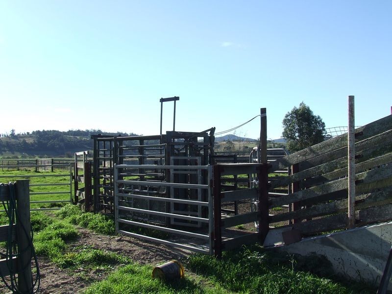 114 Cecilia Street, St Helens TAS 7216