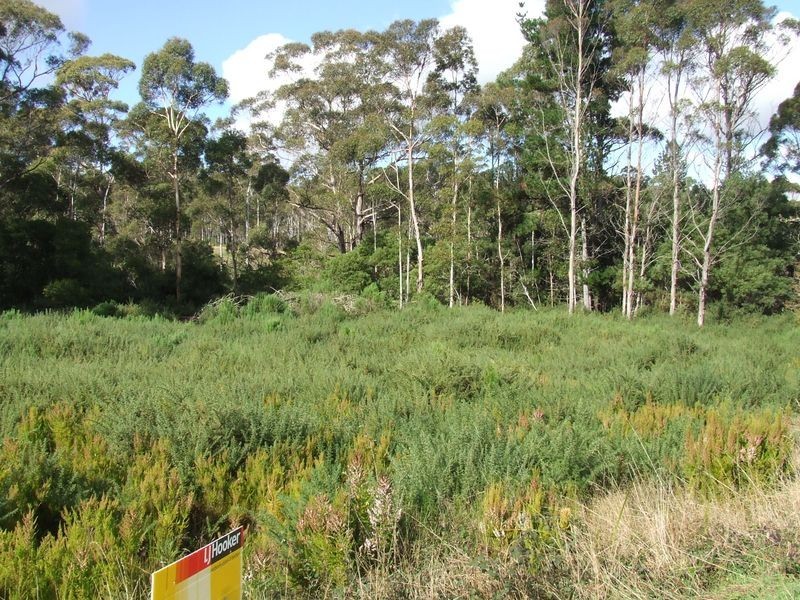 7548 Esk  Main Road, St Marys TAS 7215