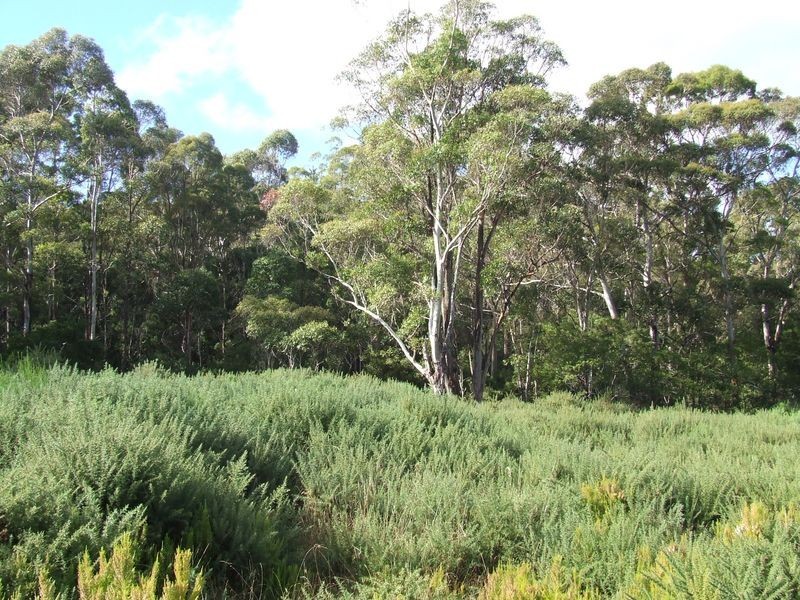 7548 Esk  Main Road, St Marys TAS 7215