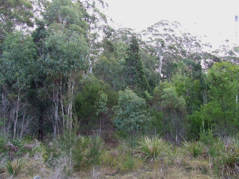 66 Acacia Drive, Ansons Bay TAS 7216