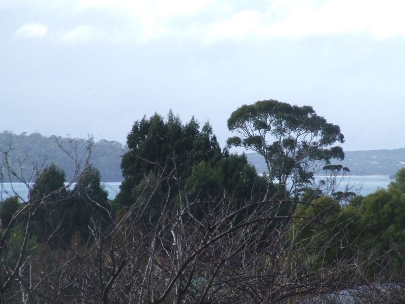35 Anchor Road, Pyengana TAS 7216