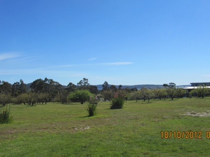 Lot 100 (5 Falmouth Street, St Helens TAS 7216