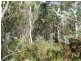 PID 784688 Irishtown Road, St Marys TAS 7215