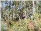 PID 784688 Irishtown Road, St Marys TAS 7215